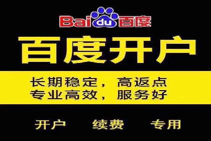 百度推广案例：企业营销成果展示